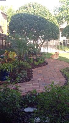 Our new walkway and flower bed!