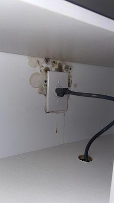 Mold in cabinets