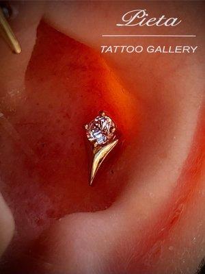 Conch Piercing