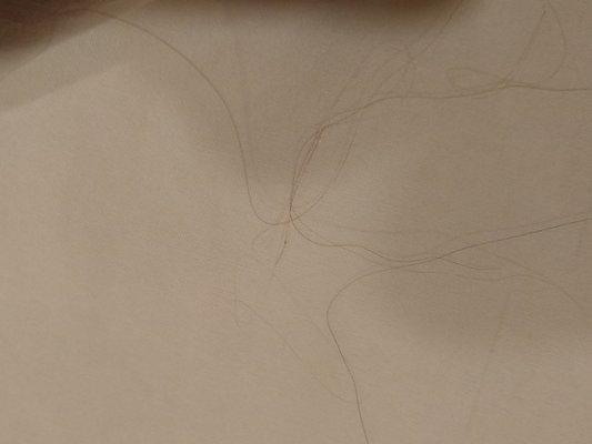 Hair in my bed