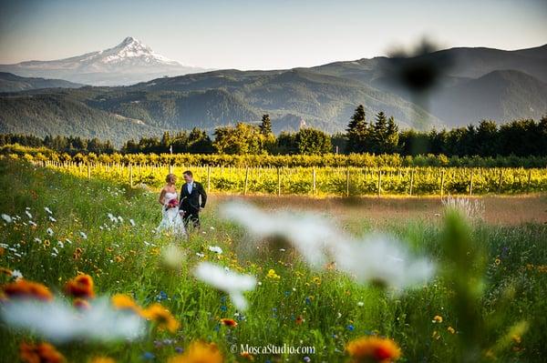 © http://www.MoscaStudio.com A beautiful wedding day (July 2013) at Gorge Crest Vineyards.