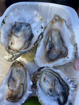 Oysters! 4 for $10 - Myagi & Kumamoto