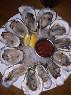 Oysters (Maine and Long Island)