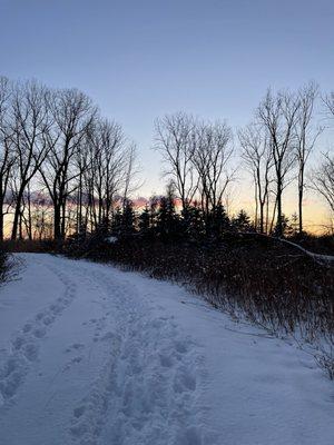 Twilight in February