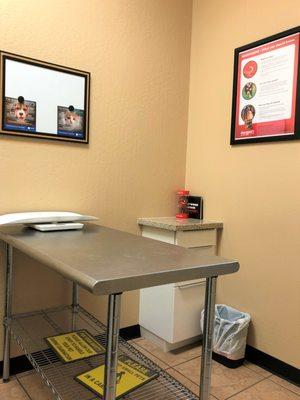 Spay Neuter Clinic: Chandler, AZ (Exam Room)