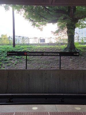 Grosvenor-Strathmore