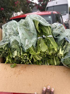 Collard Greens, Mustard Greens, and Cut N Clean Turnip Greens~Feeding 50 church members