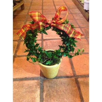 Small Hoop Ivy Topiary