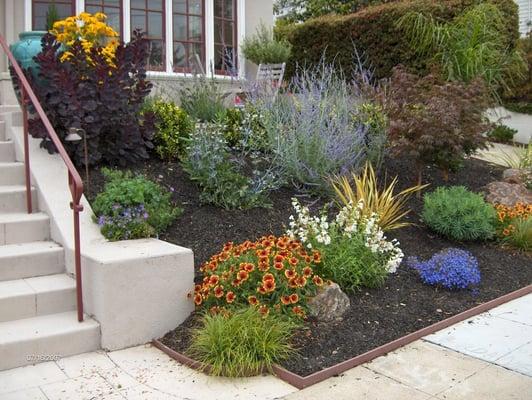 Low maintenance drought tolerant front yard