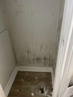 Closet ceiling collapsed from moisture and molded