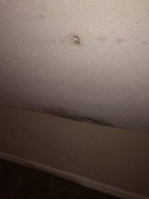 Water damage in upstairs bedroom?