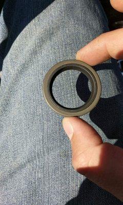 Oil seal