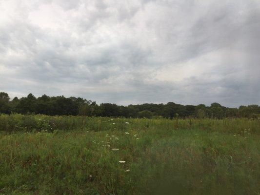 Beautiful field for camping near.