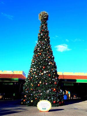 Christmas Town 2021, Busch Gardens, Tampa