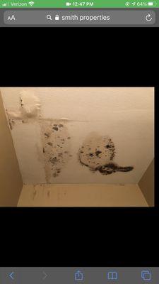 Painted over black mold.