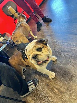 Rolex and Peaches waiting for their appointments (Rolex's first appointment after we rescued him)