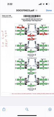 Alignment report