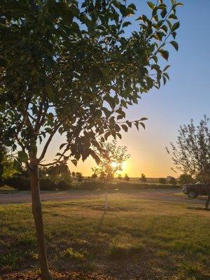 Summer Sunrise on Glorious Lord's Day