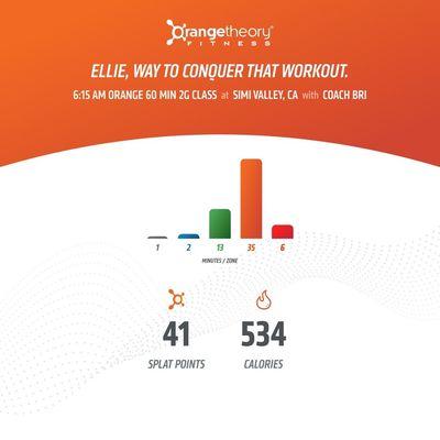 Orangetheory heart monitor results