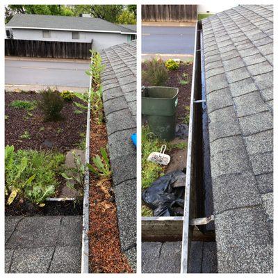 Professional gutter cleaning in Fair Oaks.