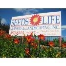 Seeds Of Life