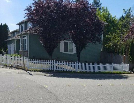 Fence built and painted by Your Hired Man