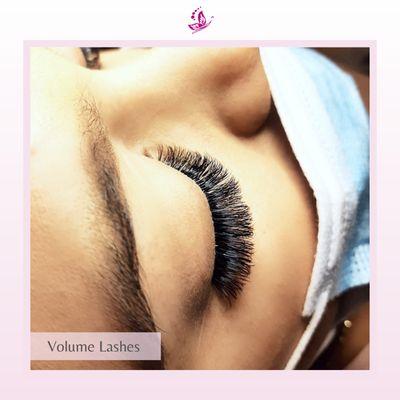 Volume Lashes