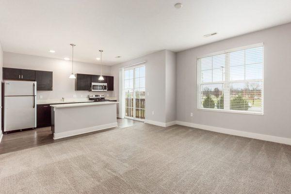 Living Room and Kitchen