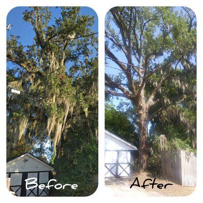 Southern Roots Tree Service