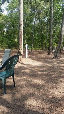 Fenced in dog park