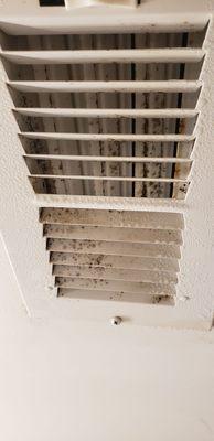 Black mold in bathroom vents