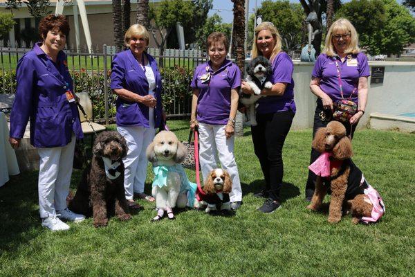 Northridge Hospital has a dedicated volunteer pet therapy program!