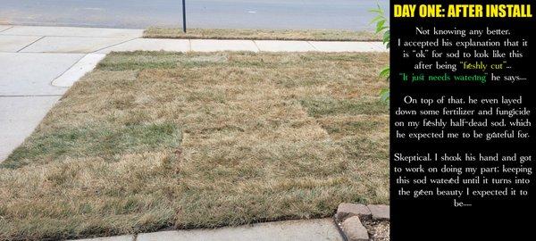 Danny's Lawn Care service charged my top dollar to then go buy discounted, half-dead sod to install on my lawn...