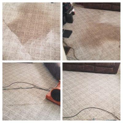 IN&OUT Carpet Cleaning