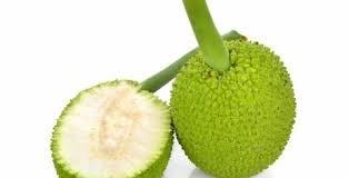 'Ulu (breadfruit)