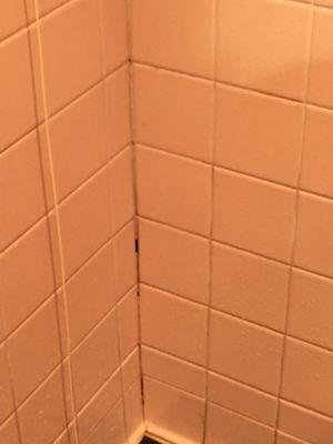 Corner grout falling out in shower