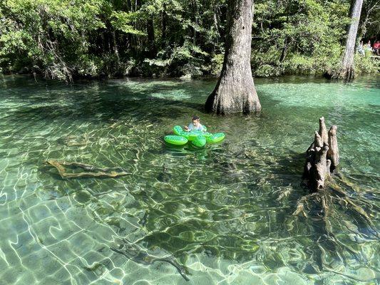 Spring swimming hole