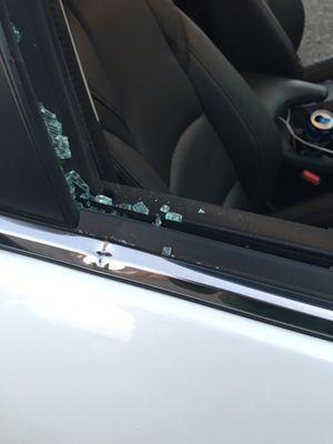 Mountain View Auto Glass