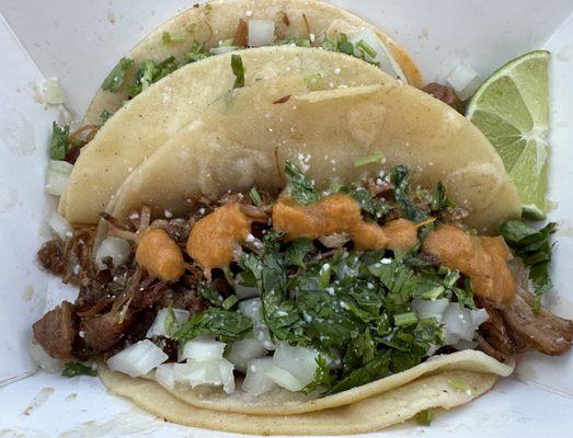 Carnitas tacos with double tortillas and spicy salsa