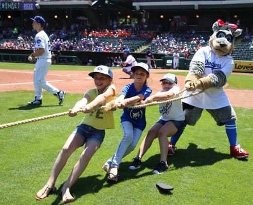 Tug of War battle between innings of an afternoon game.