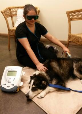 Acupuncture and Laser on Max