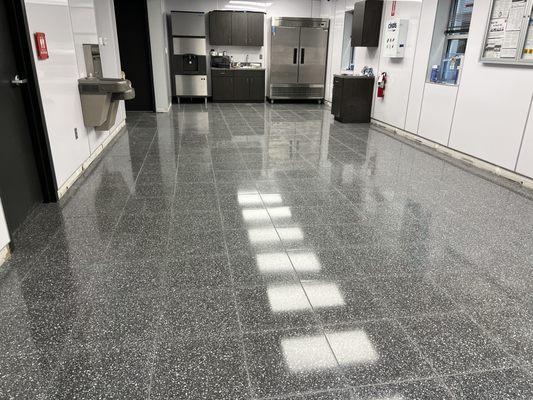 Polished terrazzo tile that was refreshed by Dancer Concrete Design.