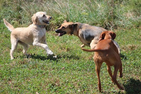 hiking group play