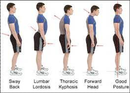 Muscular imbalances produce postural misalignment, pain and discomfort. Active Isolated Stretching helps correct these problems.