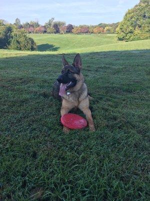 Awesome Park, lots of room for dogs to run off leash, very clean, Bahston loves this place!