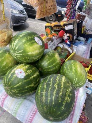 Fresh watermelons