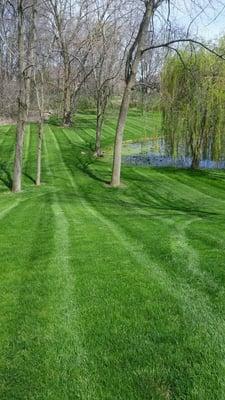 Long mowing passes to stripe next to a pond.