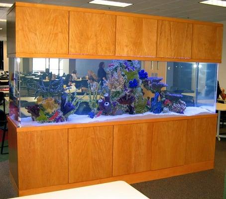 Aquatic Living Systems