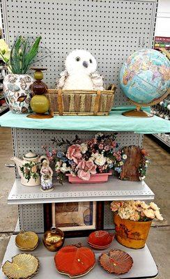 Beautiful plates and snowy owl