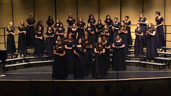 Ensemble performing in the Spring 2015 Concert